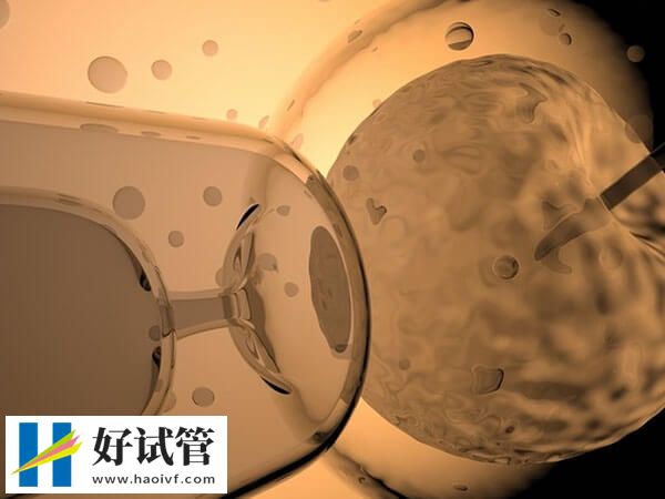 提高試管嬰兒成功率的方法