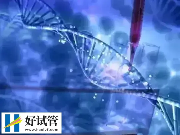 溫州沒有能做三代試管嬰兒的醫院