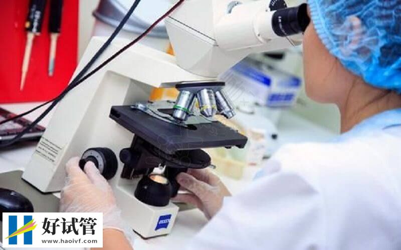 格魯吉亞試管技術不同費用不同
