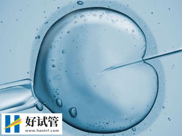 一代試管嬰兒費用約3萬元