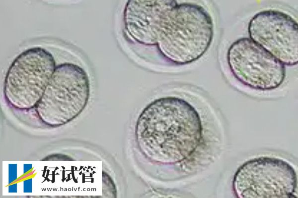攢胚胎后要冷凍保存