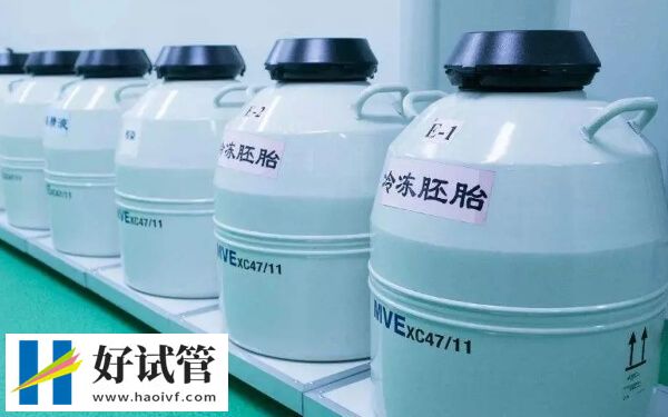 凍胚移植前要先解凍