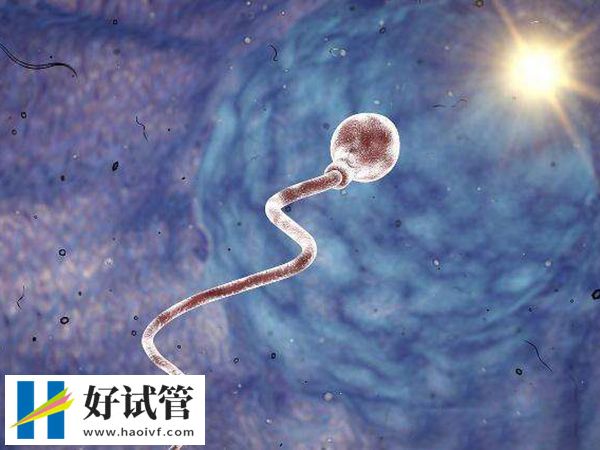 人工授精成功率比試管低