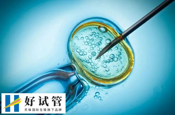 試管不成功不會退費