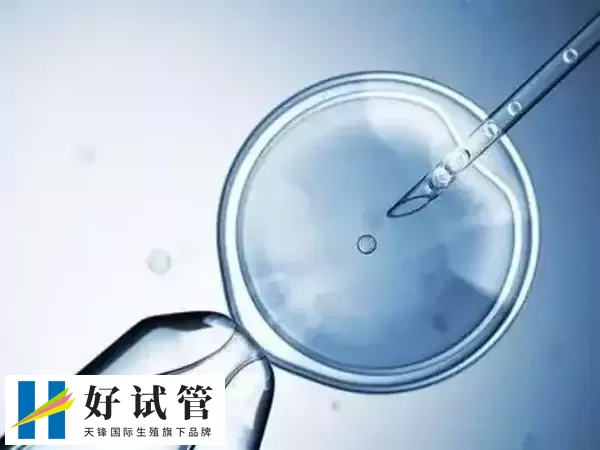 格魯吉亞試管技術比較不錯