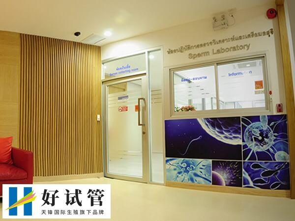 鮮胚移植后要調(diào)整良好的睡眠環(huán)境