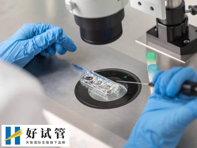 胚胎移植手術的疼痛感較低