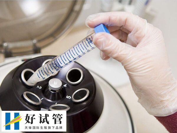 囊胚移植成功后激素水平會上升