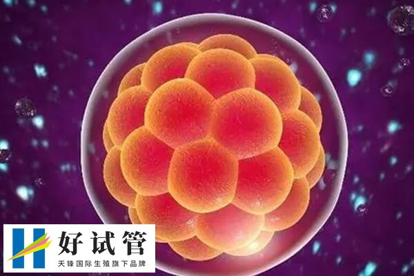 囊胚移植成功后腹部可能會有輕微的隱痛