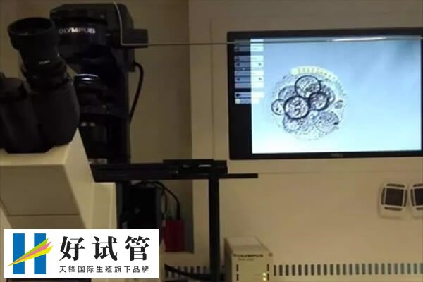 囊胚培養(yǎng)不成功的原因很多
