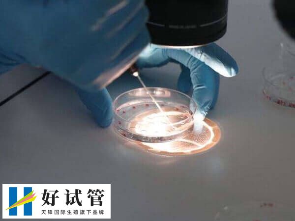 養(yǎng)囊之后是否成功都是要收取一定費(fèi)用的