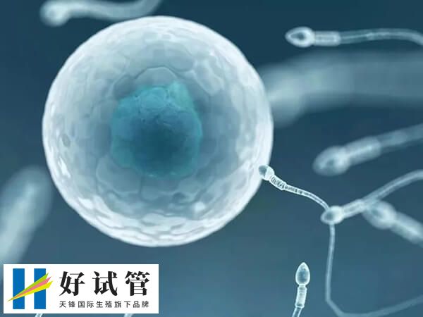 多次促排卵治療使卵巢過度刺激