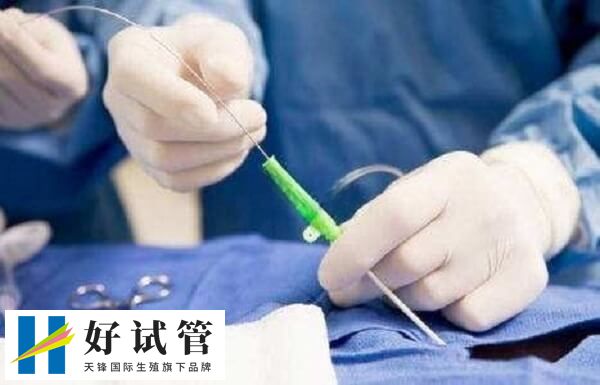 雌激素水平過低會影響內膜厚度