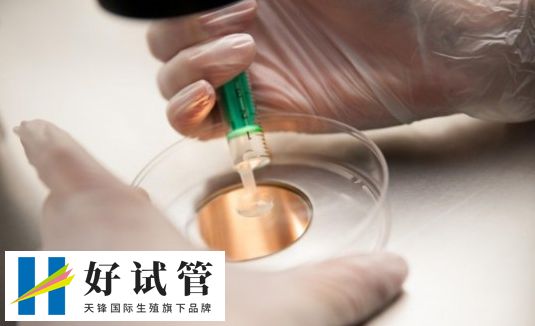 佛山哪家醫院做試管嬰兒成功率比較高?(圖1)
