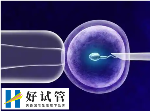 移植后癥狀個體有差異