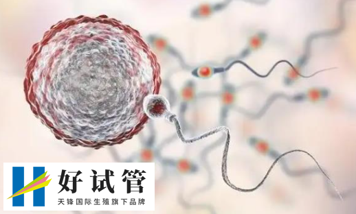 移植后出血可能是失敗的表現
