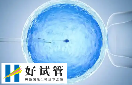 促排卵泡長得慢可能需要調(diào)整藥物劑量