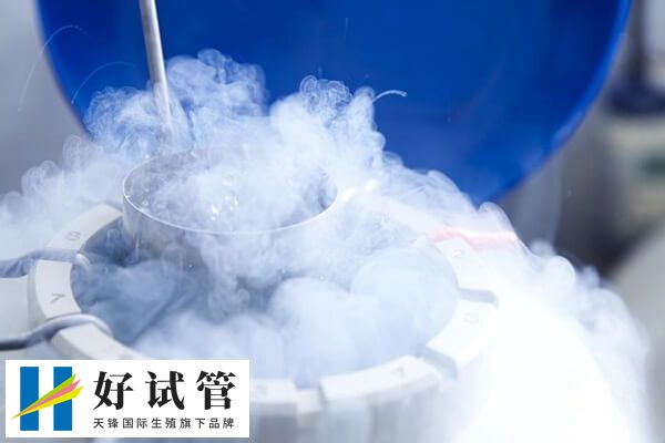 冷凍胚胎的移植技術先進