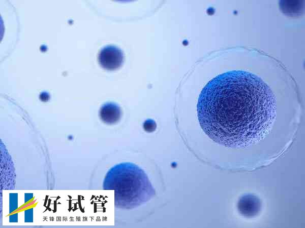 試管促排卵是一種輔助生殖技術