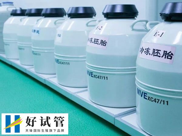 FET就是解凍胚胎移植術(shù)