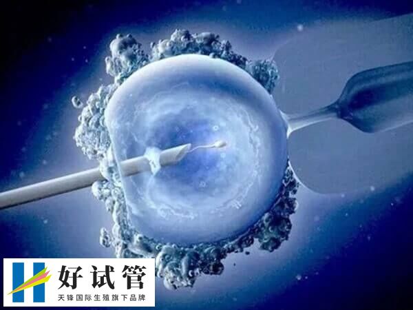 內(nèi)分泌紊亂會影響試管成功率