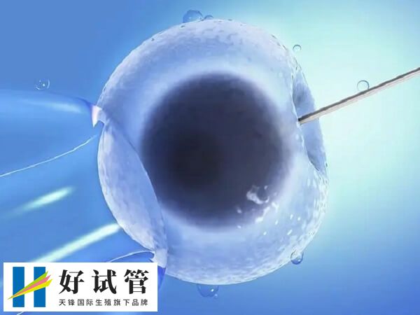 非法的性別篩選違反法律規(guī)定