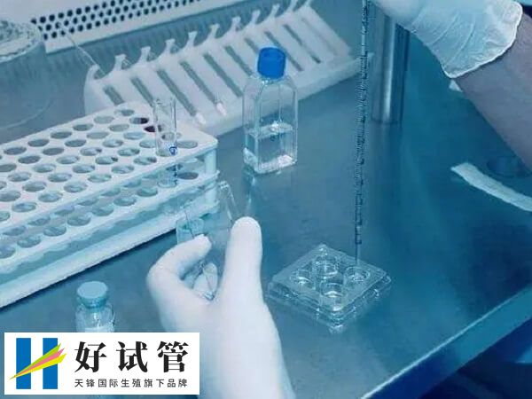 義烏地區的醫院暫未開展試管技術