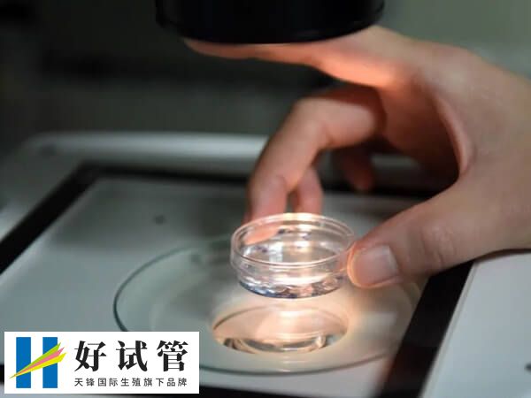 促排卵用藥不同收費價格不同