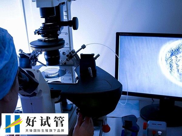 二代試管嬰兒技術即單精子卵胞漿注射