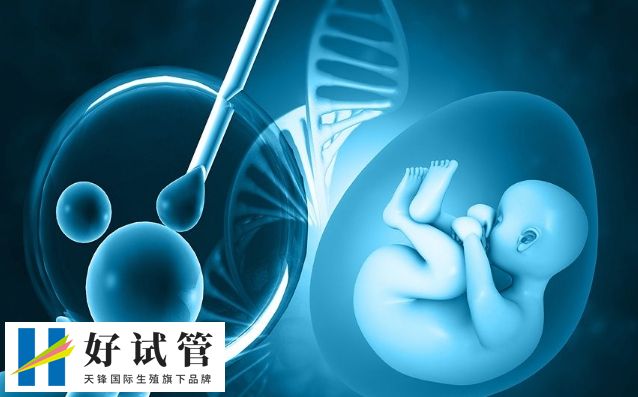 試管專家