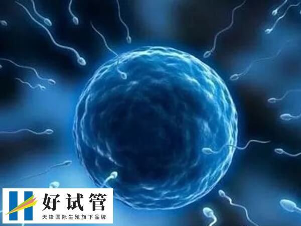 男方不屬于嚴重的弱精可以選擇一代試管
