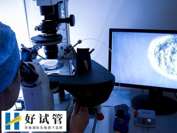 冷凍胚胎可以保存20年