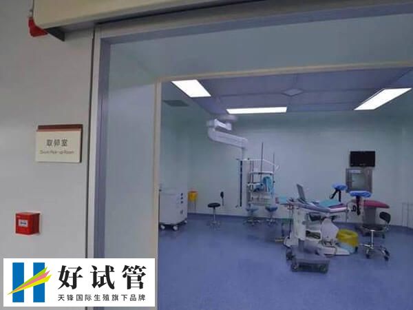第二次超聲檢查一般在移植后45-50天進行