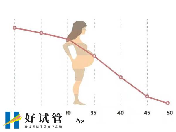 試管成功率與女性年齡成反比