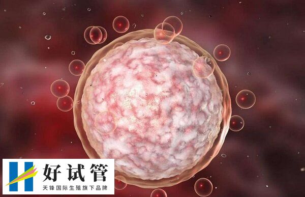 黃體期促排出現(xiàn)空卵泡可能是內(nèi)分泌失調(diào)