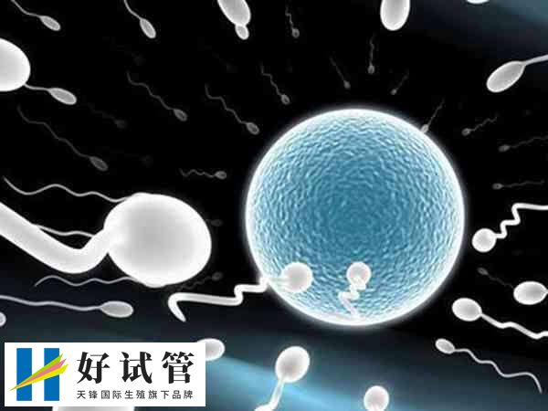 試管三級胚胎是一種輔助生殖技術