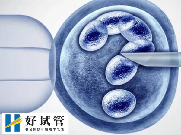 目前全國有536家醫院可以開展人工助孕技術