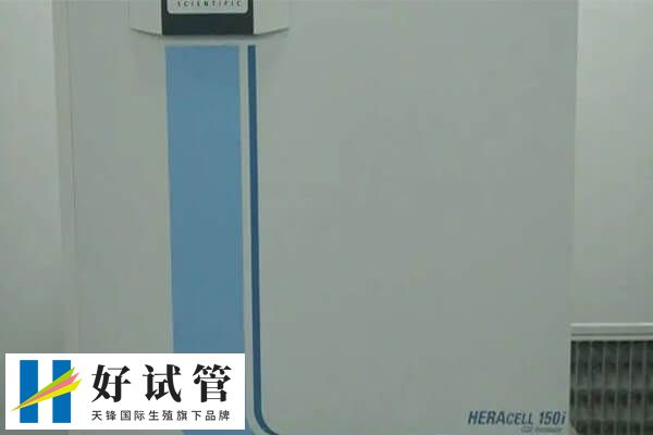  南京是華東地區重要的醫療中心