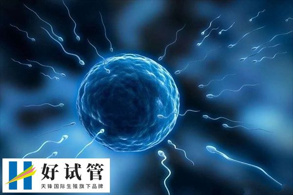 試管移植是一種較為常見的輔助生殖技術
