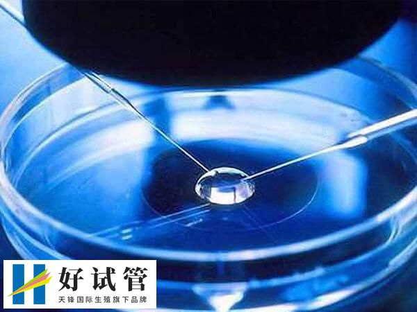 第四代試管技術的爭議很大