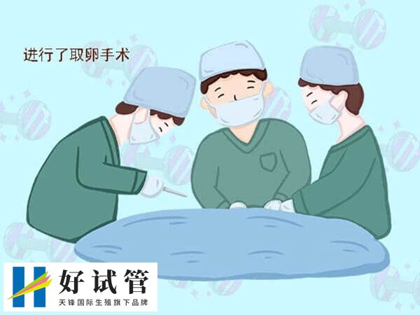 取卵手術后對女性有一定影響
