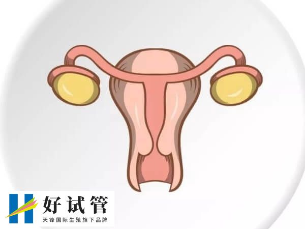 高齡做試管要檢查AMH