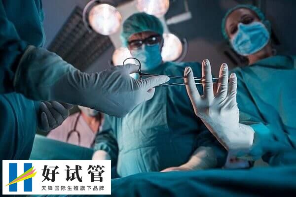 取卵手術損傷較小