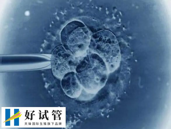 造成卵泡發育大小不均勻的因素有很多的