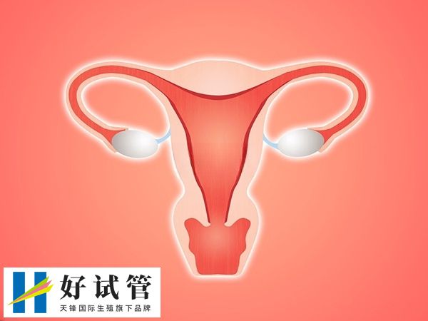 內膜厚度若是小于5mm表示降調成功