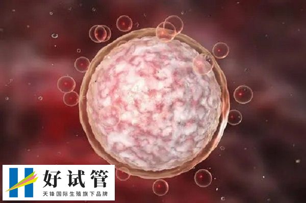 多個卵泡大小近似且小于5mm表示降調成功