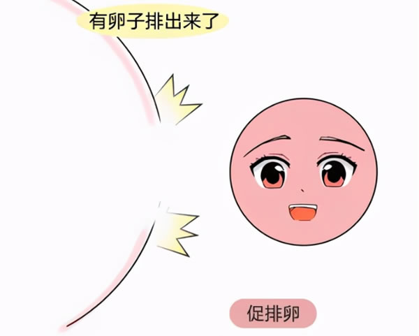 好試管 好試管