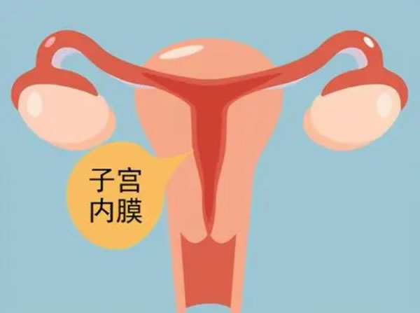 好試管 好試管