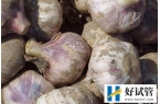 取卵后醫生談話談啥、談多久看這，專家：時